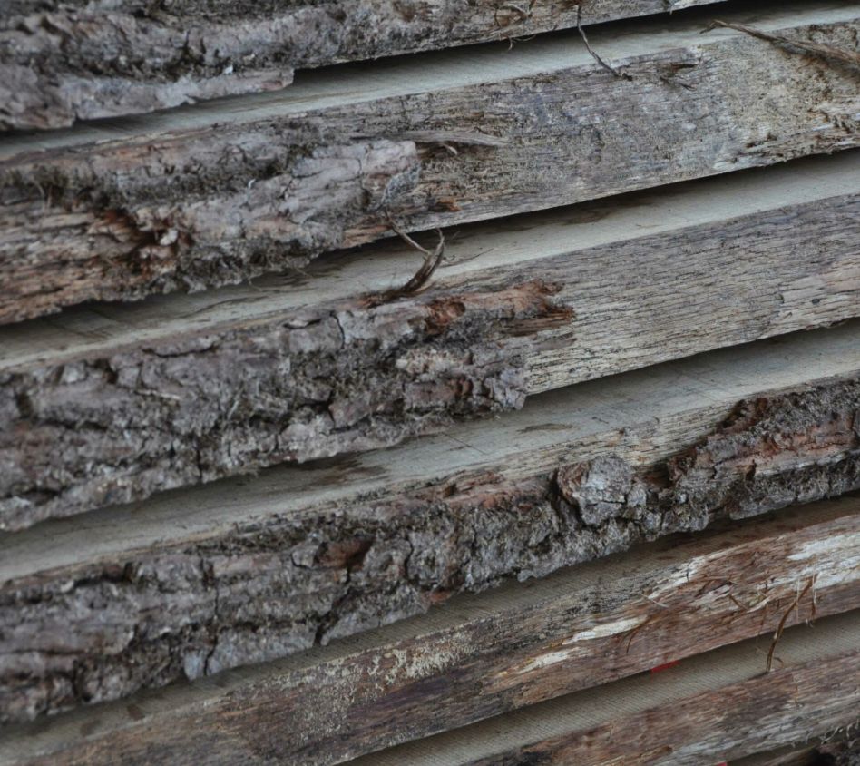 Massivholz mit Rinde.